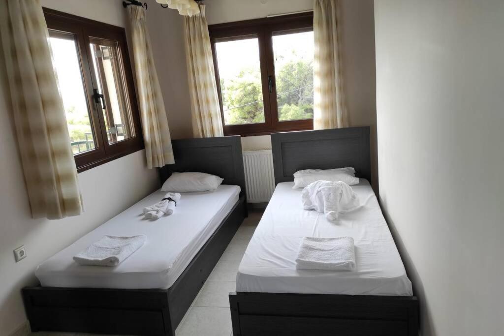 Artemis Penthouse 10 Minute From National Airport Vila Exterior foto